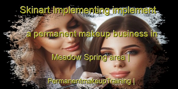 Skinart Implementing implement a permanent makeup business in Meadow Spring area | PermanentmakeupTraining | PermanentmakeupClasses | SkinartTraining-United States